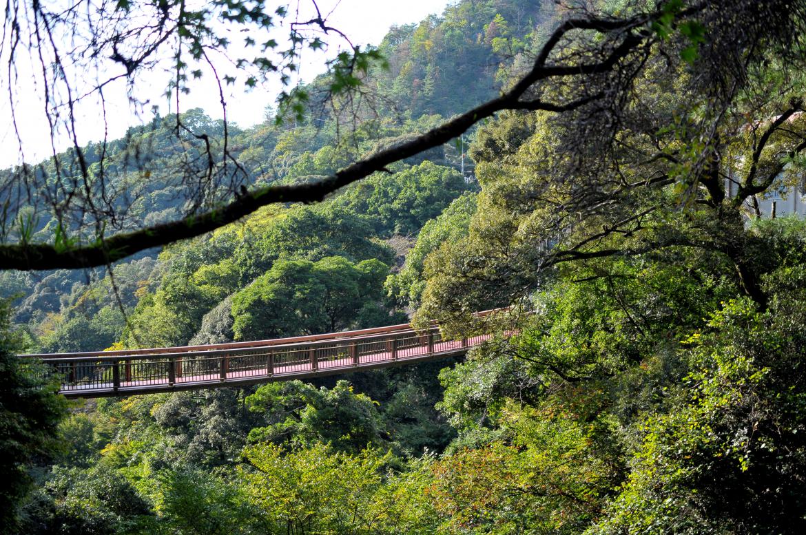 Landschaft in Arita